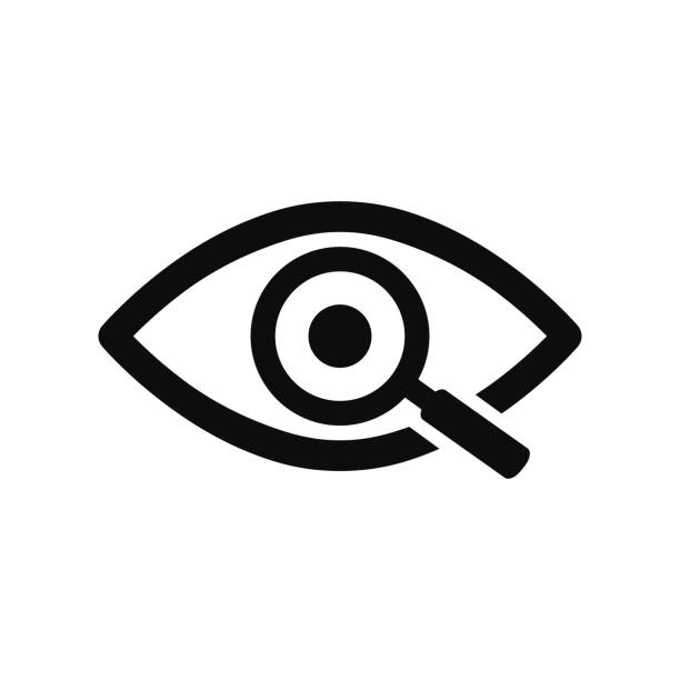 Eye with magnifying glass representing oversight
